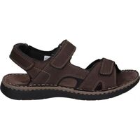 Schoenen Heren Sandalen / Open schoenen Walk & Fly 21-47290 Brown