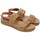 Schoenen Dames Sandalen / Open schoenen Porronet BASKETS  3019 Brown