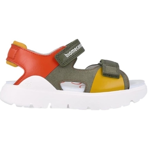 Schoenen Kinderen Sandalen / Open schoenen Biomecanics Kids Sandals 242272-C - Military Groen