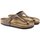 Schoenen Heren Sandalen / Open schoenen Birkenstock Gizeh Brown