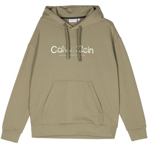 Textiel Heren Sweaters / Sweatshirts Calvin Klein Jeans K10K112952 Groen