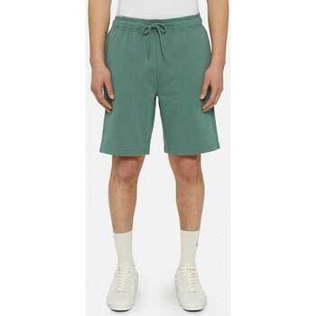 Textiel Heren Korte broeken / Bermuda's Dickies Mapleton short Groen