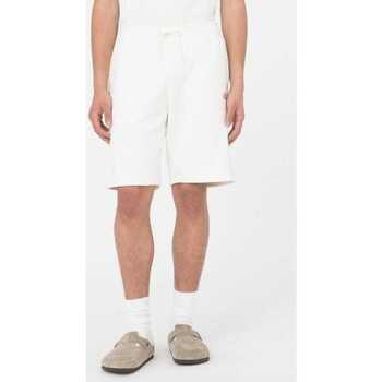 Textiel Heren Korte broeken / Bermuda's Dickies Mapleton short Beige