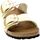 Schoenen Dames Sandalen / Open schoenen Birkenstock Sandalo Donna Beige/Ecru Arizona big buckle Beige