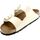 Schoenen Dames Sandalen / Open schoenen Birkenstock Sandalo Donna Beige/Ecru Arizona big buckle Beige