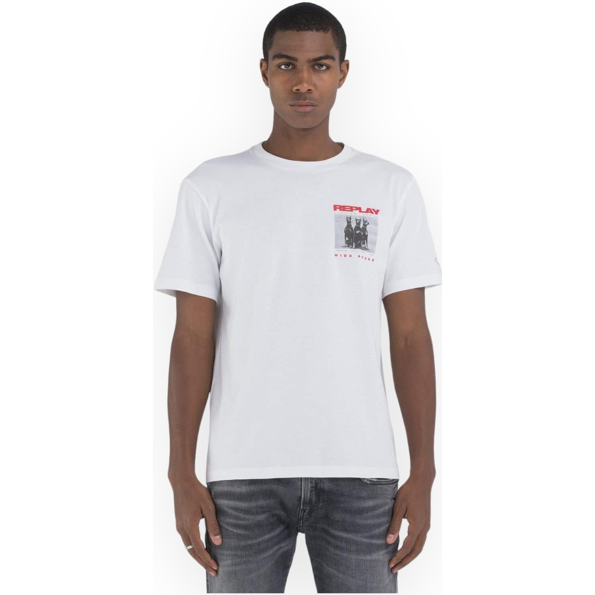 Textiel Heren T-shirts & Polo’s Replay M676600022662 001 Wit