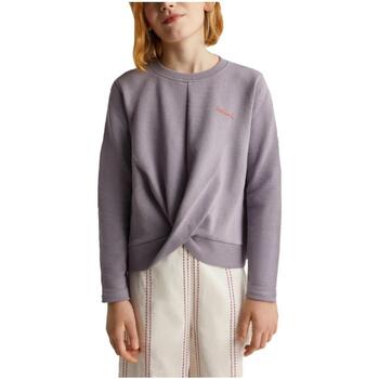 Textiel Meisjes Sweaters / Sweatshirts Scalpers  Violet
