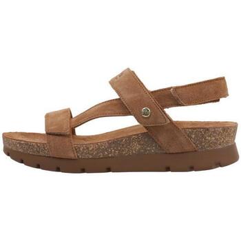 Schoenen Dames Sandalen / Open schoenen Panama Jack SELMA B10 Brown