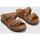 Schoenen Dames Sandalen / Open schoenen Panama Jack SHIRLEY B15 Brown