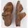 Schoenen Dames Sandalen / Open schoenen Panama Jack SHIRLEY B15 Brown