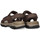 Schoenen Heren Sandalen / Open schoenen Skechers 74726 Brown