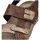 Schoenen Heren Sandalen / Open schoenen Arizona 74913 Brown