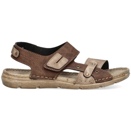 Schoenen Heren Sandalen / Open schoenen Arizona 74913 Brown