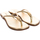Schoenen Dames Sandalen / Open schoenen MICHAEL Michael Kors 40T2AEFA1M-PALE GOLD Goud