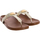 Schoenen Dames Sandalen / Open schoenen MICHAEL Michael Kors 40T2MKFA1M-PALE GOLD Multicolour