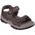 Schoenen Heren Sandalen / Open schoenen Skechers 31493 Brown