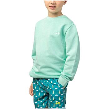 Textiel Jongens Sweaters / Sweatshirts Scotta  Groen