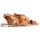 Schoenen Dames Sandalen / Open schoenen Bueno Shoes Q-2000 Brown