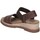 Schoenen Dames Sandalen / Open schoenen Skechers 114687 Brown