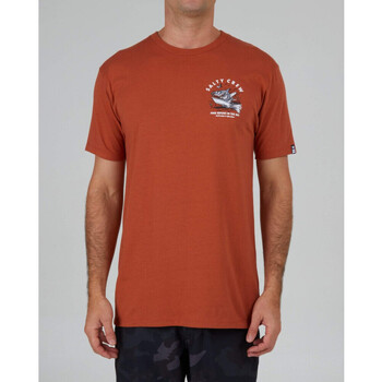 Textiel Heren T-shirts & Polo’s Salty Crew Hot rod shark premium s/s tee Orange
