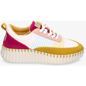 Schoenen Dames Sneakers D'angela 26021 Multicolour