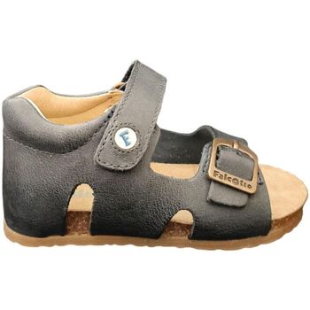 Schoenen Kinderen Sandalen / Open schoenen Falcotto BEA Grijs