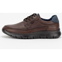 Schoenen Heren Sneakers CallagHan 30135 Brown
