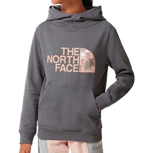 Textiel Meisjes Sweaters / Sweatshirts The North Face  Grijs