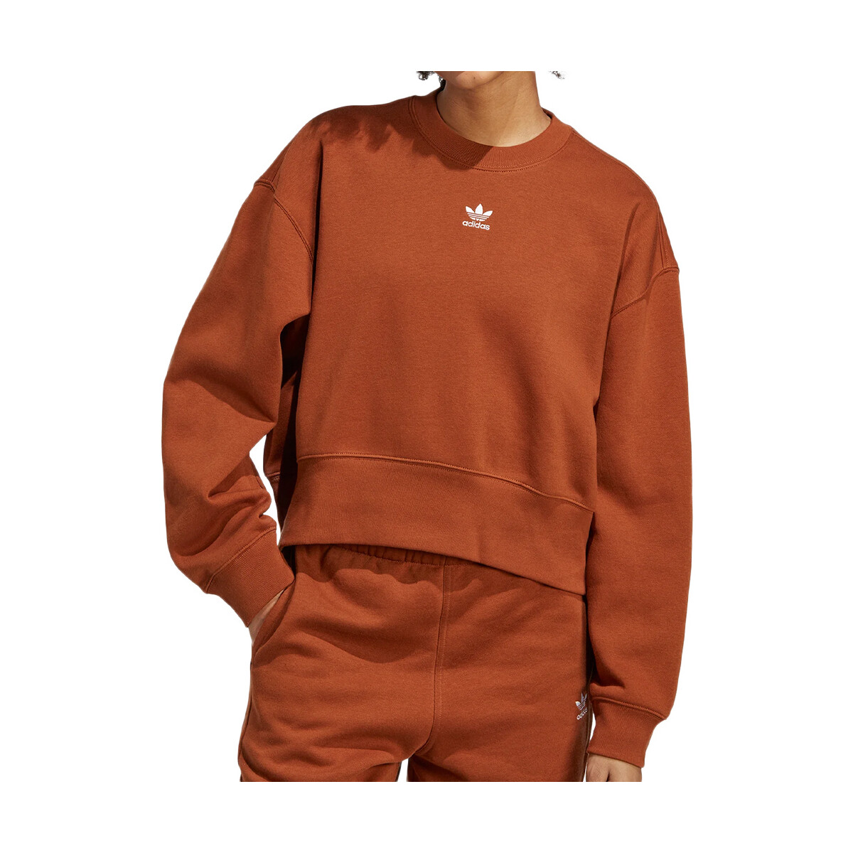 Textiel Dames Sweaters / Sweatshirts adidas Originals  Brown