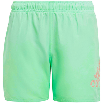 Textiel Jongens Zwembroeken/ Zwemshorts adidas Originals  Groen
