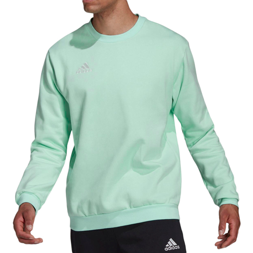 Textiel Heren Sweaters / Sweatshirts adidas Originals  Groen