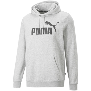Textiel Heren Sweaters / Sweatshirts Puma  Grijs