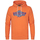 Textiel Heren Sweaters / Sweatshirts Petrol Industries  Orange