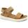 Schoenen Dames Sandalen / Open schoenen Ecco ECC-CCC-273603-LI Brown