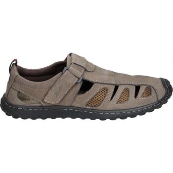 Schoenen Heren Sandalen / Open schoenen Vicmart 268-15 Brown