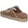 Schoenen Dames Sandalen / Open schoenen Refresh 171950 Brown