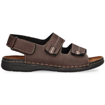 Schoenen Heren Sandalen / Open schoenen Arizona 74910 Brown