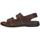 Schoenen Heren Sandalen / Open schoenen Arizona 74910 Brown