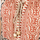 Textiel Dames Lange jurken Isla Bonita By Sigris Lange Midi -Jurk Multicolour