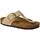 Schoenen Dames Sandalen / Open schoenen Birkenstock  Beige