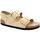 Schoenen Dames Sandalen / Open schoenen Birkenstock BIR-CCC-1026484-SB Beige