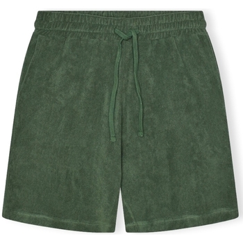 Textiel Heren Korte broeken / Bermuda's Revolution Terry Shorts 4039 - Dustgreen Groen