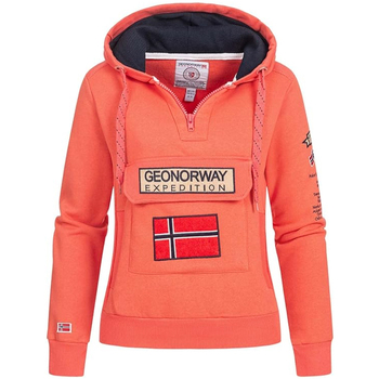 Textiel Dames Sweaters / Sweatshirts Geographical Norway  Orange