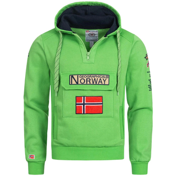 Textiel Heren Sweaters / Sweatshirts Geographical Norway  Groen