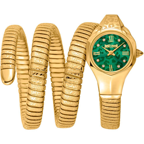 Horloges & Sieraden Dames Analoge horloges Roberto Cavalli - jc1l271m0035 Goud