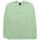 Textiel Heren Sweaters / Sweatshirts Champion 218827 GS088 Green Groen