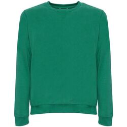 Textiel Heren Sweaters / Sweatshirts Husky hs23beufe36co193 colin-c455 green Groen