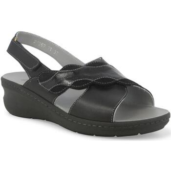 Schoenen Dames Sandalen / Open schoenen Melluso MEL-RRR-K95220W-BL Zwart