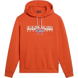 Textiel Heren Sweaters / Sweatshirts Napapijri 236358 Orange