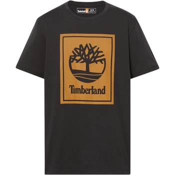 Textiel Heren T-shirts korte mouwen Timberland 236625 Zwart